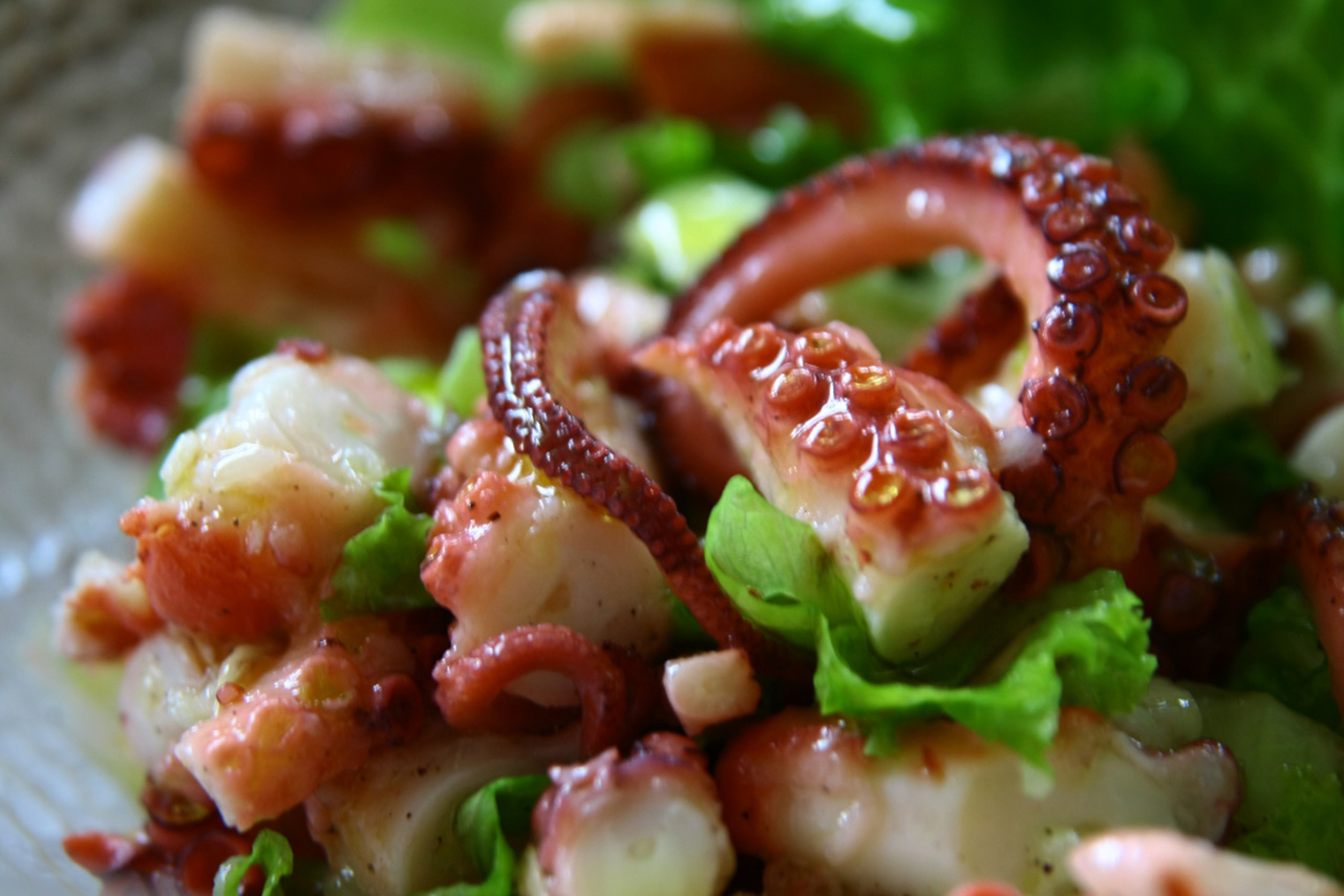 Ahtapot Salatası Ahtapot Salatası